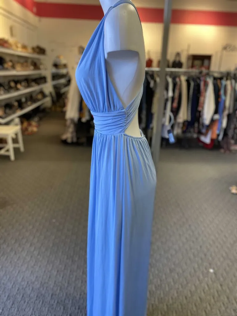 Dainty Hooligan maxi dress NWT M
